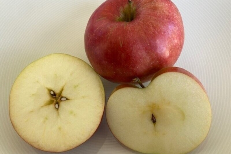 drei Äpfel in Großaufnahme, einer ganz, wunderschön rot, einer quer aufgeschnitten, einer längs