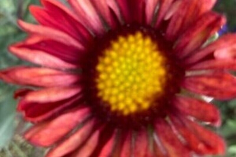 Treffen im Kreis Mai